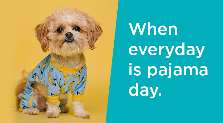 a puppy in pajamas with the caption "when everyday is pajama day"