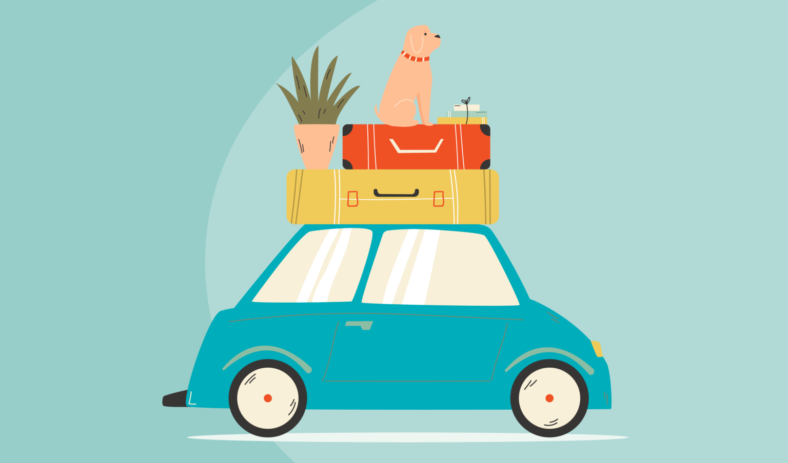 At Points North, We Like to Move it Move it (Part One) Points North